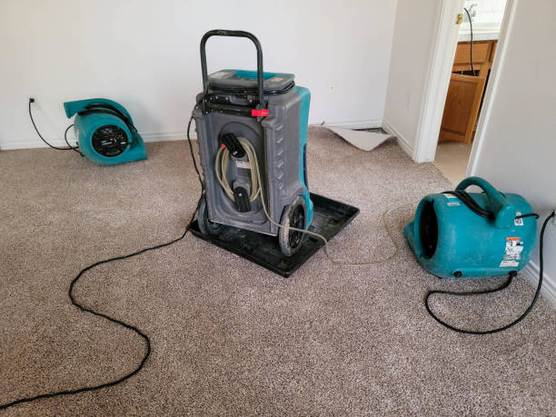 Best Water damage restoration experts  in North Falmouth, MA