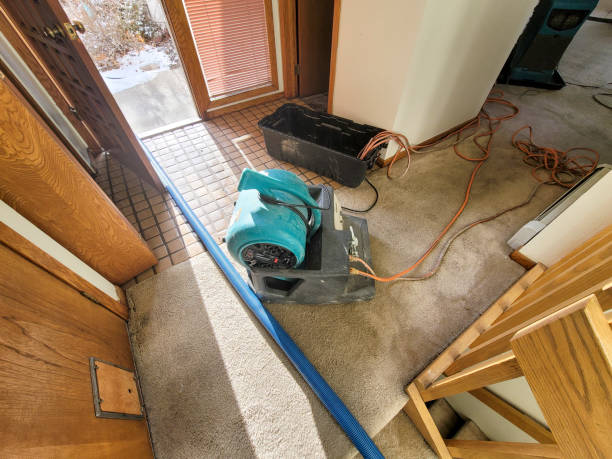 Reliable North Falmouth, MA Water damage restoration Solutions