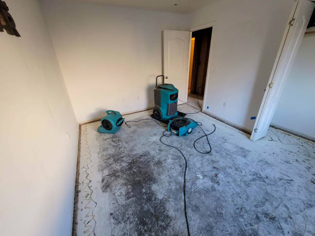 Best Water damage mitigation services  in North Falmouth, MA