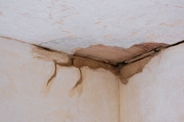 Best Commercial water damage restoration  in North Falmouth, MA
