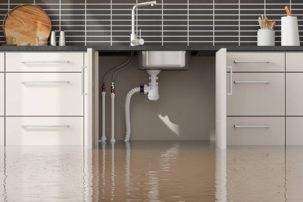 Best Mold removal after water damage  in North Falmouth, MA