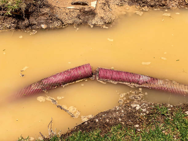 Best Water damage restoration insurance claims  in North Falmouth, MA